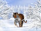 Winter Tiger - Digital Painting