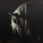 Twilight Stallion - Acrylic